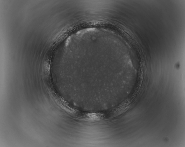 X0000115270558200912111205