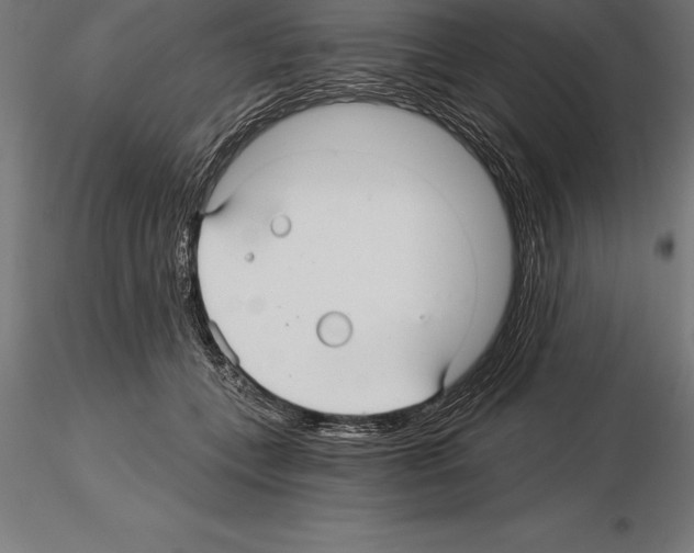 X0000115270559200912111205