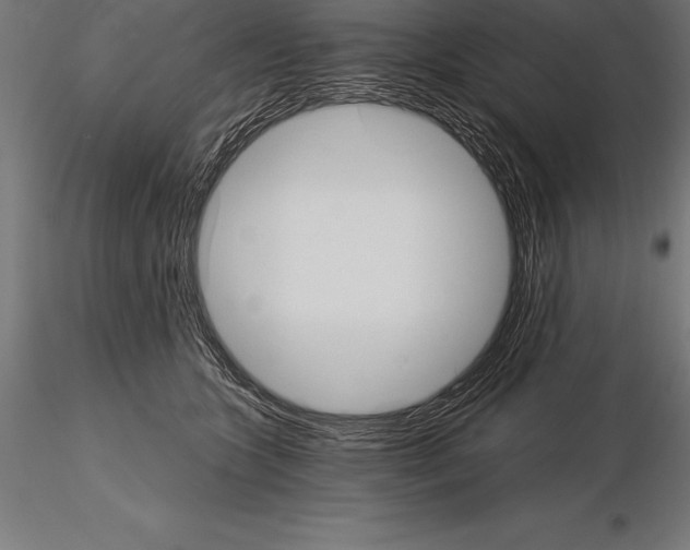 X0000115270563200912111206