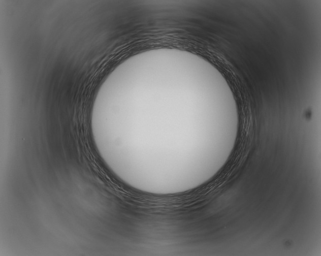 X0000115270565200912111206