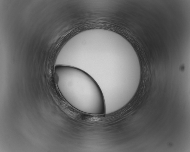 X0000115270566200912111206