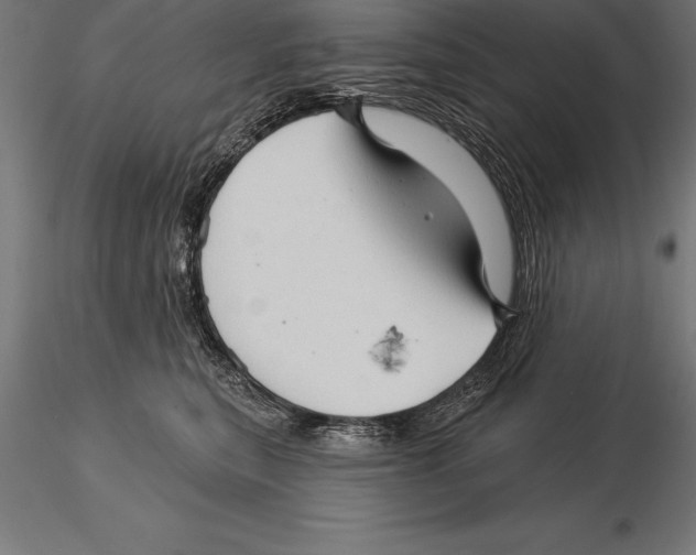 X0000115270567200912111206