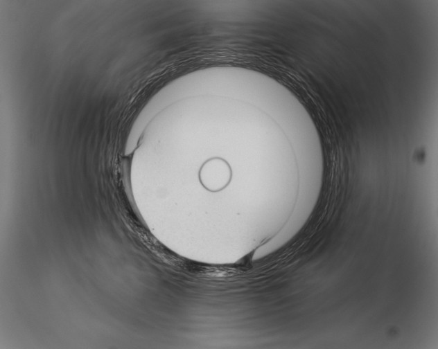 X0000115270569200912111206