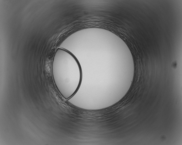 X0000115270570200912111206