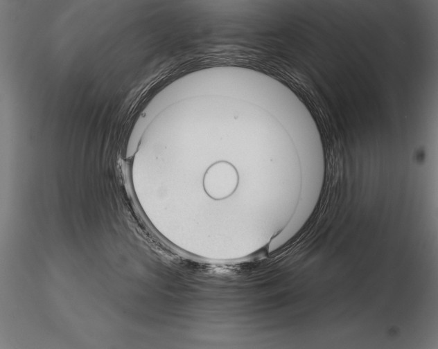 X0000115270573200912111206