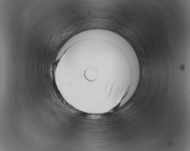 X0000115270575200912111206