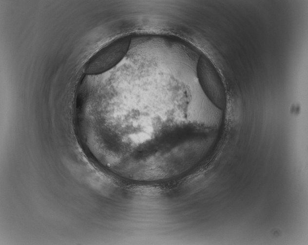 X0000115270577200912111205