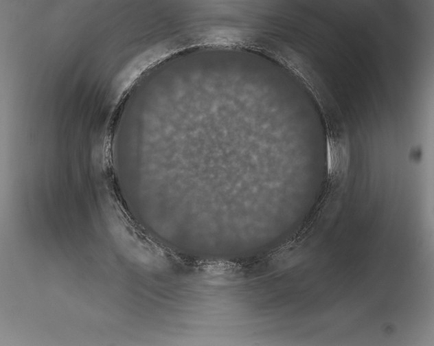 X0000115270579200912111205