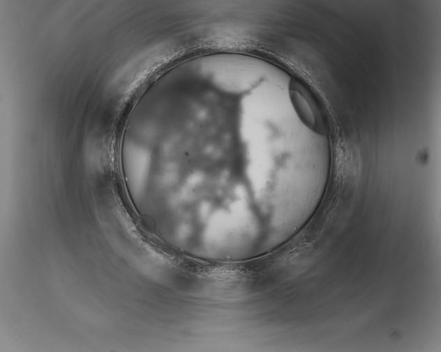 X0000115270581200912111205