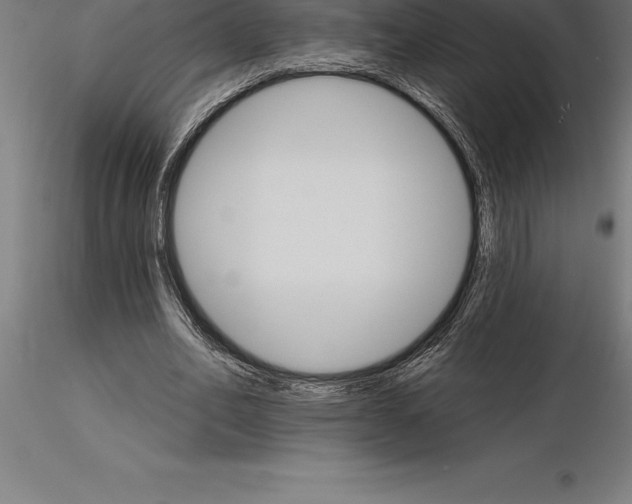 X0000115270582200912111205