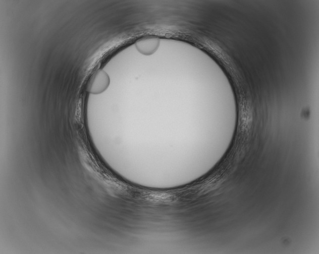 X0000115270583200912111205