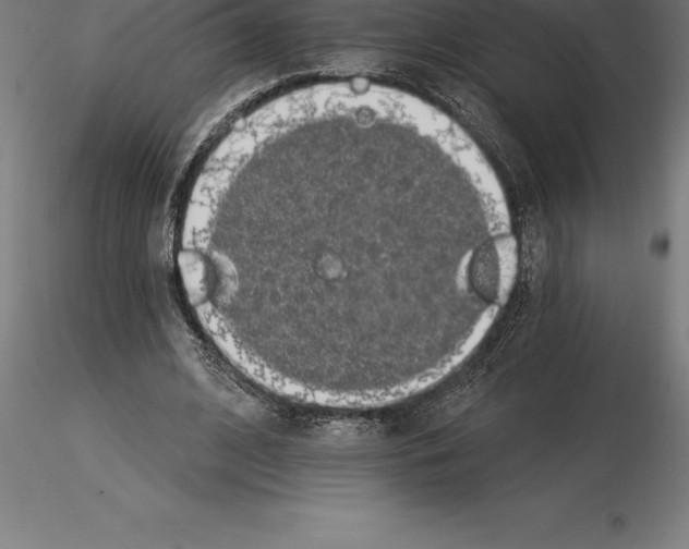 X0000115270584200912111205