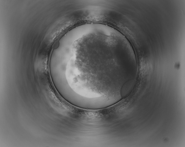 X0000115270585200912111205