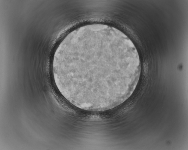 X0000115270588200912111205