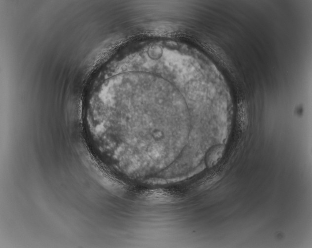 X0000115270589200912111205