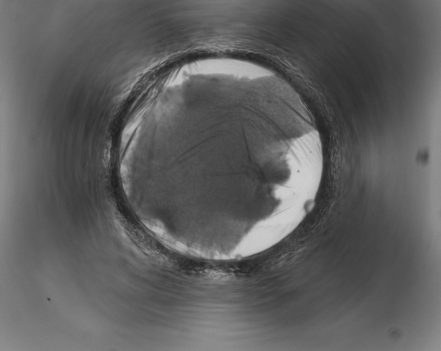 X0000115270592200912111205