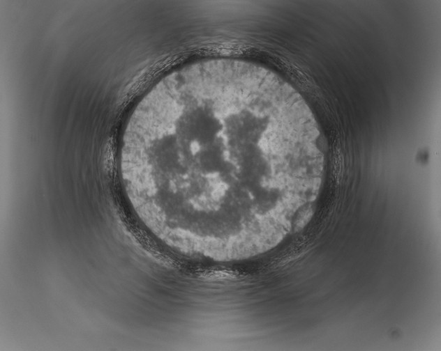 X0000115270594200912111205