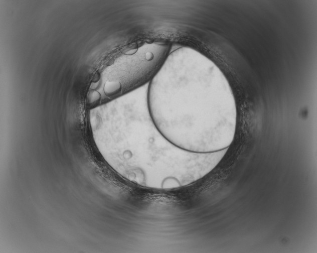 X0000115270597200912111205