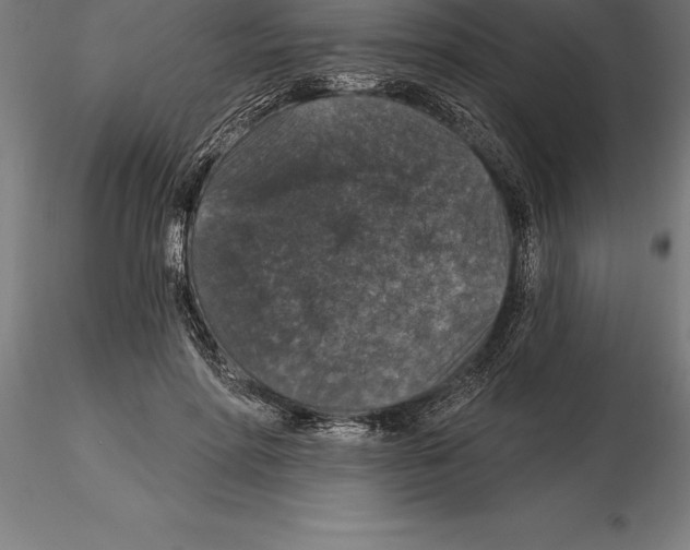 X0000115270598200912111205