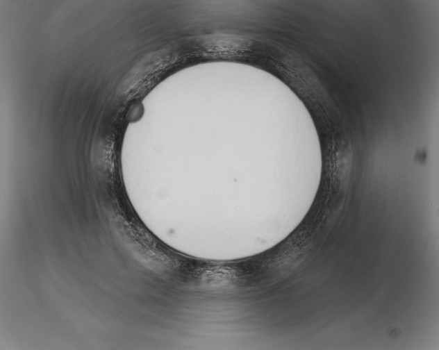 X0000115270599200912111205