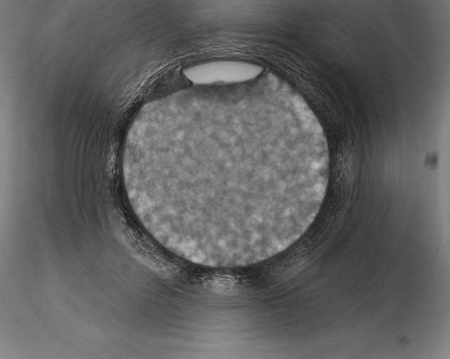 X0000115270600200912111205