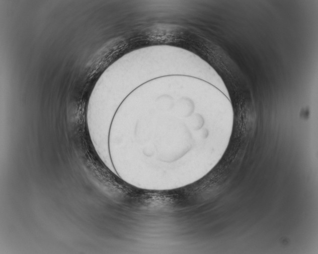 X0000115270601200912111205