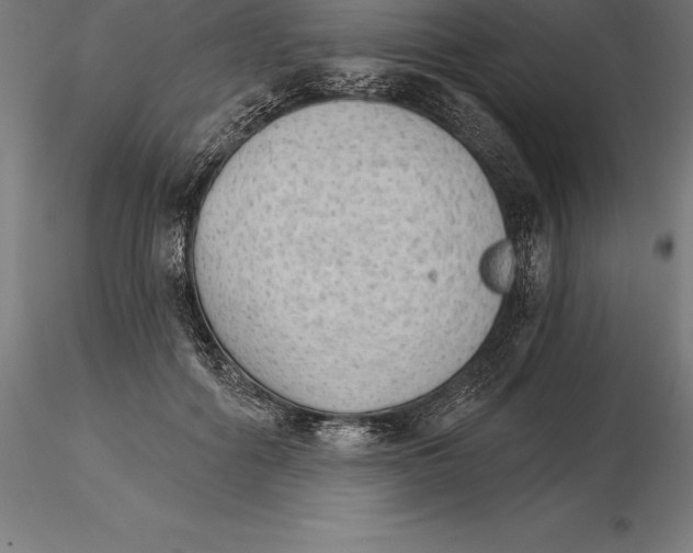 X0000115270602200912111205