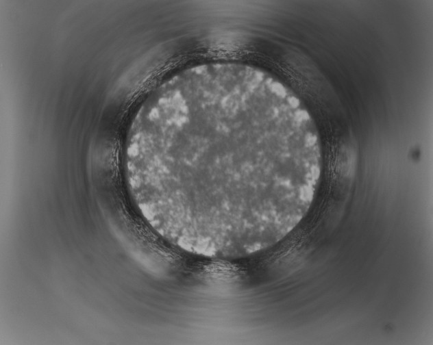 X0000115270603200912111205