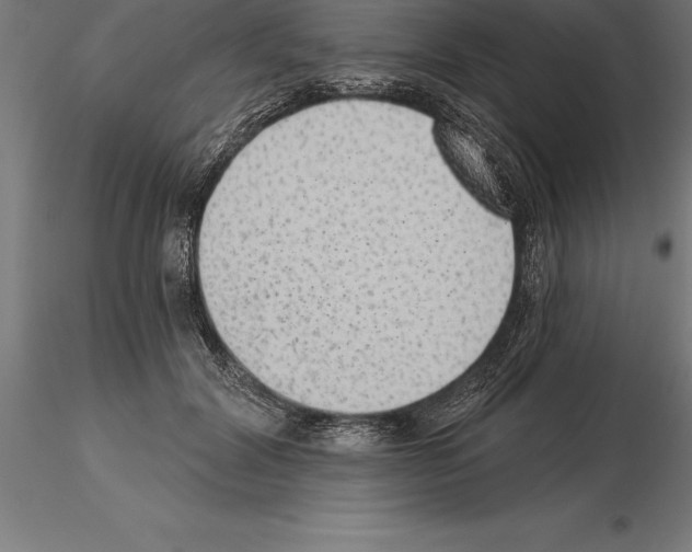 X0000115270604200912111205