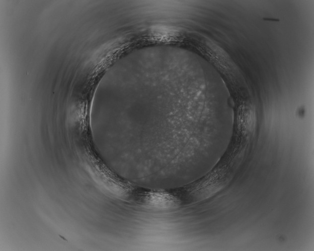 X0000115270605200912111205