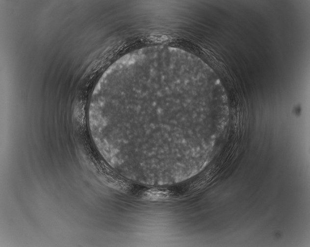 X0000115270606200912111205