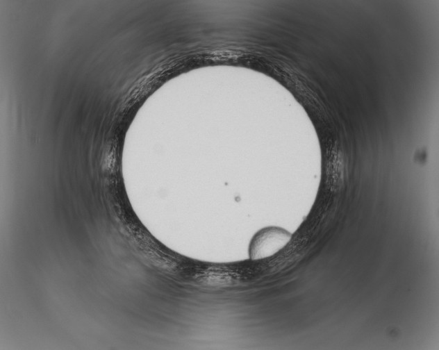 X0000115270608200912111205