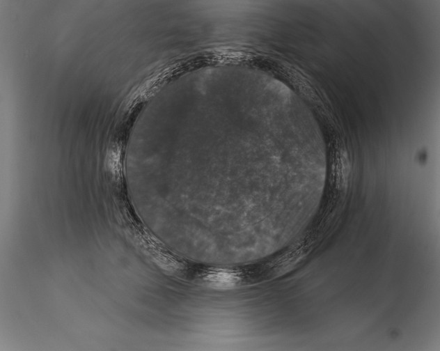 X0000115270610200912111204