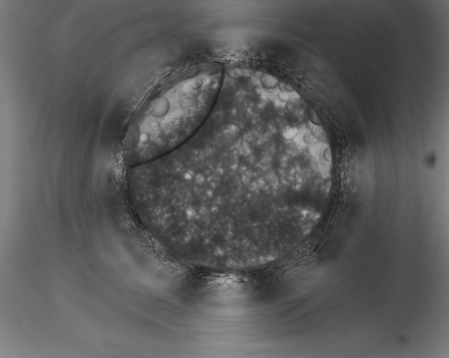 X0000115270611200912111204