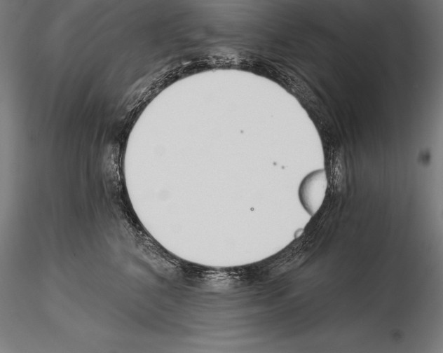 X0000115270616200912111204