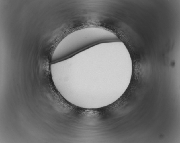 X0000115270617200912111204