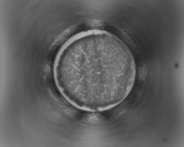 X0000115270618200912111204