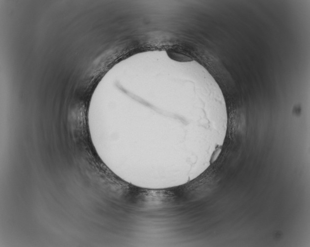 X0000115270623200912111204