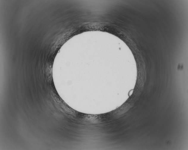 X0000115270624200912111204