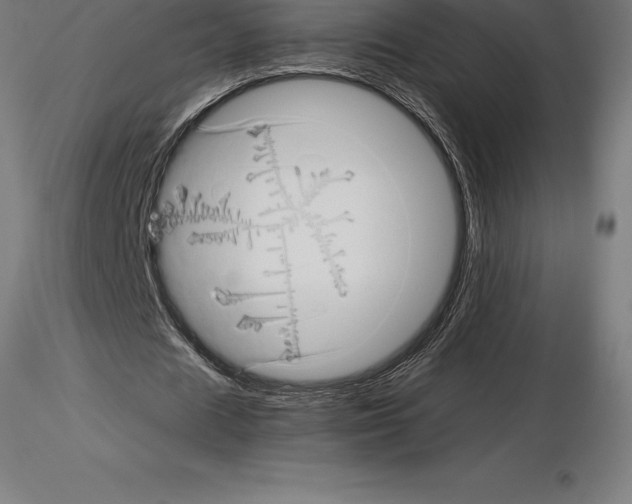 X0000115270625200912111204