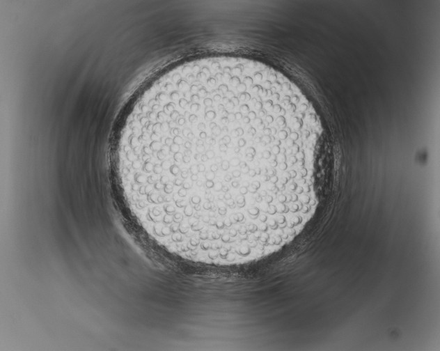 X0000115270626200912111204