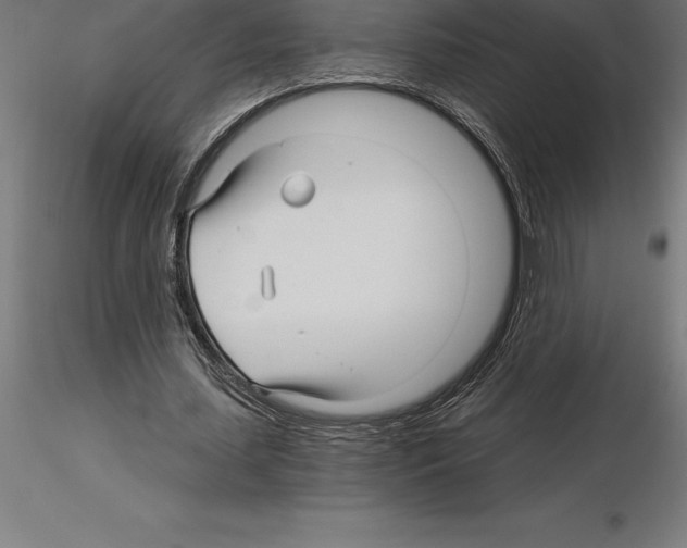 X0000115270627200912111204