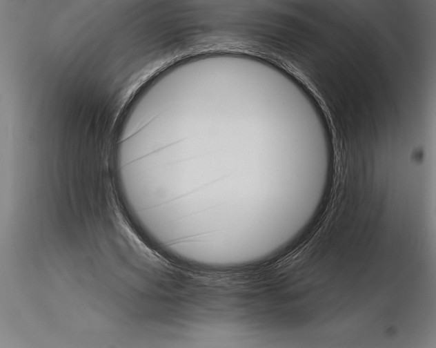 X0000115270629200912111204