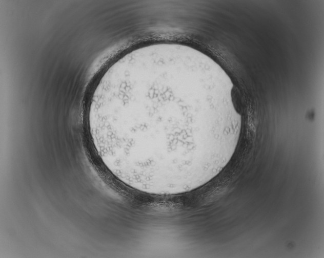 X0000115270630200912111204