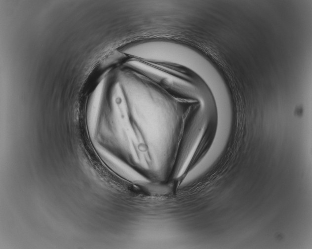 X0000115270631200912111204