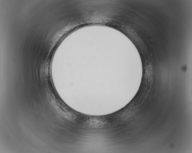 X0000115270632200912111204