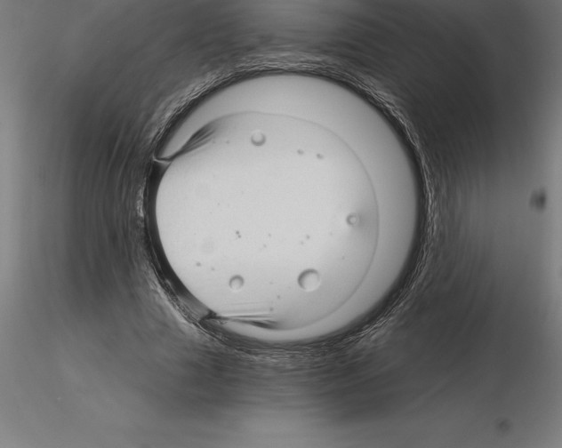 X0000115270633200912111204