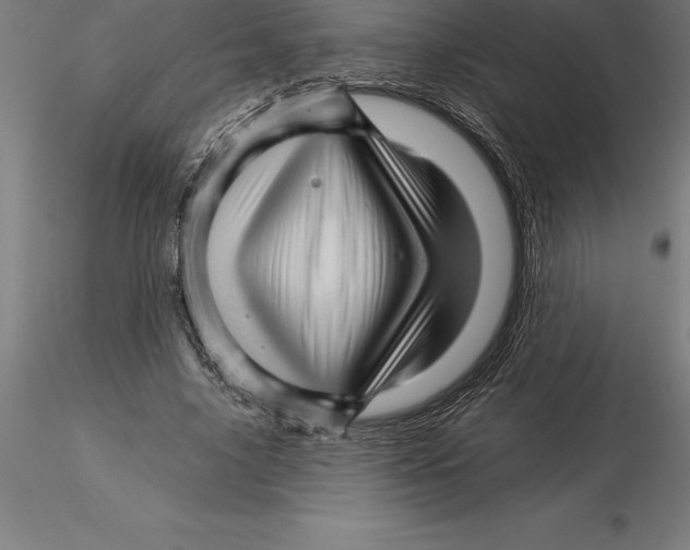 X0000115270635200912111204