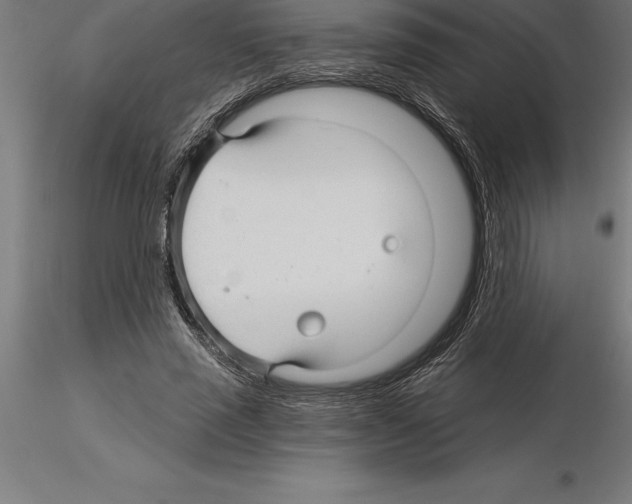 X0000115270637200912111204