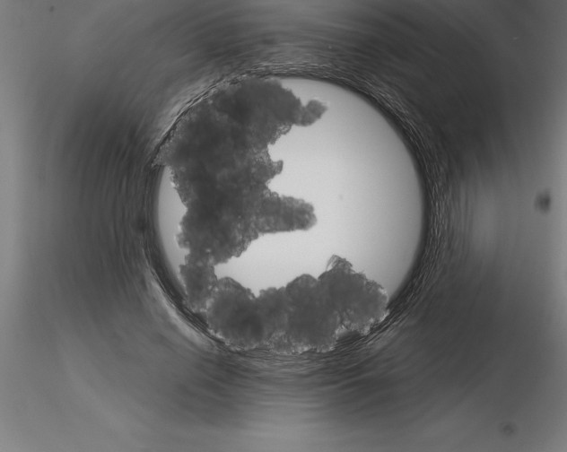 X0000115270638200912111204